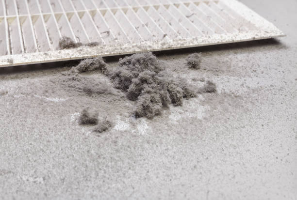 Best Commercial Air Duct Cleaning  in Reno, TX