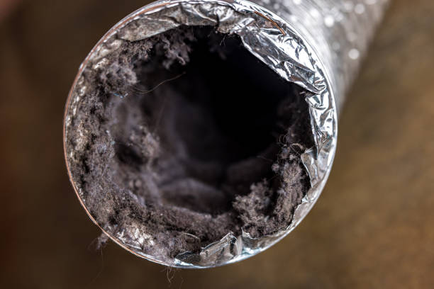 Best Duct Cleaning for Homes  in Reno, TX